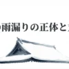 雪が積もった屋根のイラストと共に「冬の雨漏りの正体と対策」というタイトルが書かれたスライド