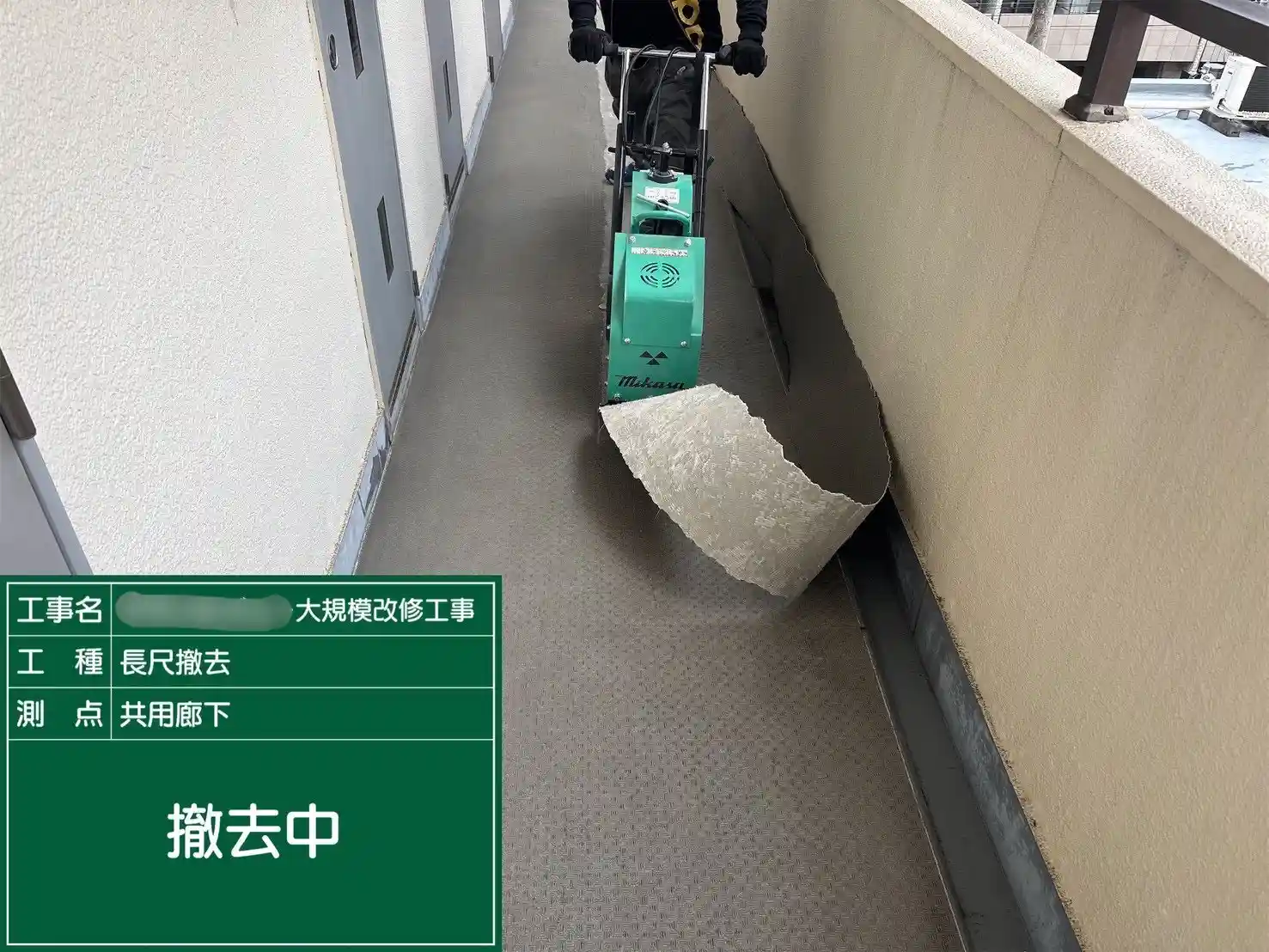 機械を使用した既存シートの剥離作業